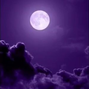 Meet your Posher, Spencer